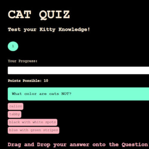 Quiz Screenshot